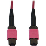 Tripp Lite N845B-25M-12-MG 100G Multimode 50/125 OM4 Fiber Optic Cable (12F MTP/MPO-PC F/F), LSZH, Magenta, 25 m (82 ft.)