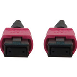 Tripp Lite N845B-25M-12-MG 100G Multimode 50/125 OM4 Fiber Optic Cable (12F MTP/MPO-PC F/F), LSZH, Magenta, 25 m (82 ft.)