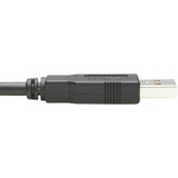 Tripp Lite U009-010-RJ45-X USB-A to RJ45 Rollover Console Cable (M/M) Compatible 250 Kbps 10 ft. (3.05 m) Black