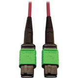 Tripp Lite N846D-05M-16AMG 400G Multimode 50/125 OM4 Plenum-Rated Fiber Optic Cable 16F MTP/MPO-APC (F/F) Magenta 5 m