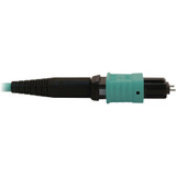 Tripp Lite N842B-05M-12-MF 40/100/400G Multimode 50/125 OM3 Fiber Optic Cable (12F MTP/MPO-PC M/F) LSZH Aqua 5 m (16.4 ft.)