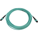 Tripp Lite N844B-10M-12-P 40/100/400G Multimode 50/125 OM3 Fiber Optic Cable (12F MTP/MPO-PC F/F) LSZH Aqua 10 m (32.8 ft.)