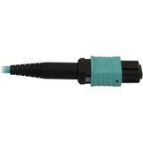 Tripp Lite N844B-10M-12-P 40/100/400G Multimode 50/125 OM3 Fiber Optic Cable (12F MTP/MPO-PC F/F) LSZH Aqua 10 m (32.8 ft.)