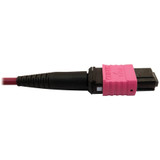 Tripp Lite N846D-03M-16BMG 400G Multimode 50/125 OM4 Plenum Fiber Optic Cable 16F MTP/MPO-APC to MTP/MPO-UPC (F/F) Magenta 3 m
