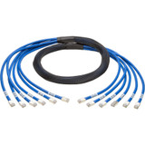 Tripp Lite N261-006-6MM-BL Cat6a 10G Pre-Terminated Copper Trunk Assembly (6x RJ45 M/M) Blue 6 ft. (1.83 m)