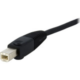 StarTech DVID4N1USB6 6 ft 4-in-1 USB DVI KVM Switch Cable with Audio