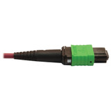 Tripp Lite N846D-03M-16CMG 400G Multimode 50/125 OM4 Plenum Fiber Optic Cable 16F MTP/MPO-APC to 24F MTP/MPO-UPC (F/F) Magenta 3 m