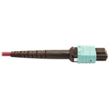 Tripp Lite N846D-03M-16CMG 400G Multimode 50/125 OM4 Plenum Fiber Optic Cable 16F MTP/MPO-APC to 24F MTP/MPO-UPC (F/F) Magenta 3 m