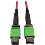 Tripp Lite N846D-01M-16AMG 400G Multimode 50/125 OM4 Plenum-Rated Fiber Optic Cable 16F MTP/MPO-APC (F/F) Magenta 1 m