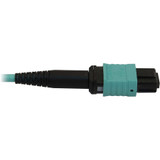 Tripp Lite N842B-10M-12-MF 40/100/400G Multimode 50/125 OM3 Fiber Optic Cable (12F MTP/MPO-PC M/F) LSZH Aqua 10 m (32.8 ft.)