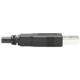 Tripp Lite U009-006-RJ45-X USB-A to RJ45 Rollover Console Cable (M/M) Compatible 250 Kbps 6 ft. (1.83 m) Black