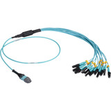 Black Box FOHC20M3MPLC12AQ-2R2 MTP OM3 Fiber Optic Harness Cable - Plenum, 12-Strand