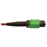 Tripp Lite N846D-05M-16BMG 400G Multimode 50/125 OM4 Plenum Fiber Optic Cable 16F MTP/MPO-APC to MTP/MPO-UPC (F/F) Magenta 5 m