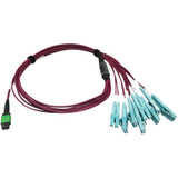 Tripp Lite N846D-01M-16EMG 400G Multimode 50/125 OM4 Plenum Fiber Optic Breakout Cable 16F MTP/MPO-APC to (x4) LC Duplex (F/M) Magenta 1 m