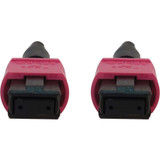 Tripp Lite N845B-20M-12-MG 100G Multimode 50/125 OM4 Fiber Optic Cable (12F MTP/MPO-PC F/F), LSZH, Magenta, 20 m (65.6 ft.)