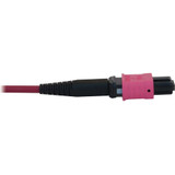 Tripp Lite N845B-20M-12-MG 100G Multimode 50/125 OM4 Fiber Optic Cable (12F MTP/MPO-PC F/F), LSZH, Magenta, 20 m (65.6 ft.)