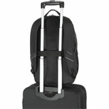 Targus Conquer TBB608GL Backpack for 15.6" Notebook - Black