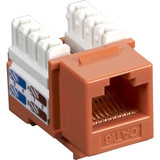 Black Box CAT6J-OR-25PAK CAT6 Keystone Jack - Unshielded, RJ45, Orange, 25-Pack