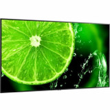 Sharp NEC Display E758 Ultra High Definition Commercial Display - 75"