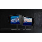 BenQ Photographer SW242Q 24" Class WQXGA LED Monitor - 16:10
