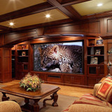 Draper Access E 184" Projection Screen
