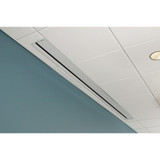 Draper Access E 184" Projection Screen