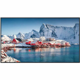 Panasonic 55-inch Class 4K UHD LCD Display TH-55SQE2W