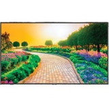 NEC Display 65" Ultra High Definition Professional Display with Integrated ATSC/NTSC Tuner