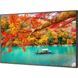 Sharp NEC Display 43" Wide Color Gamut Ultra High Definition Professional Display with PCAP Touch