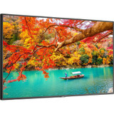 Sharp NEC Display 43" Wide Color Gamut Ultra High Definition Professional Display with PCAP Touch