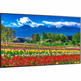 Sharp NEC Display 75" Ultra High Definition Professional Display