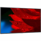 NEC Display 55" Wide Color Gamut Ultra High Definition Professional Display