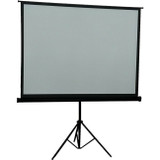 Inland 100" Projection Screen