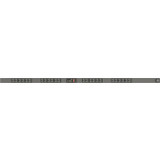 Geist MNU3EGB0-24S203-2TL21A0A10-S 24-Outlets PDU