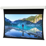 Da-Lite Tensioned Advantage Electrol 123" Electric Projection Screen - 24714LS