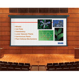 Da-Lite Tensioned Large Cosmopolitan Electrol 188" Electric Projection Screen - 97981L