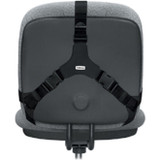 Fellowes Professional Series Back Support with Microban&reg; Protection