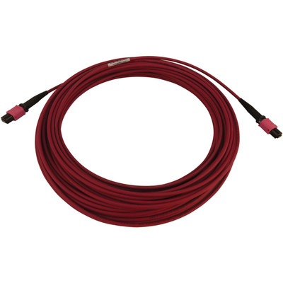 Tripp Lite N845B-15M-12-MG 100G Multimode 50/125 OM4 Fiber Optic Cable (12F MTP/MPO-PC F/F), LSZH, Magenta, 15 m (49.2 ft.)
