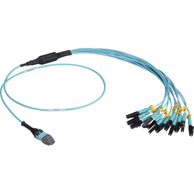 Black Box FOHC20M3MPLC12AQ-3R2 MTP OM3 Fiber Optic Harness Cable - Plenum, 12-Strand