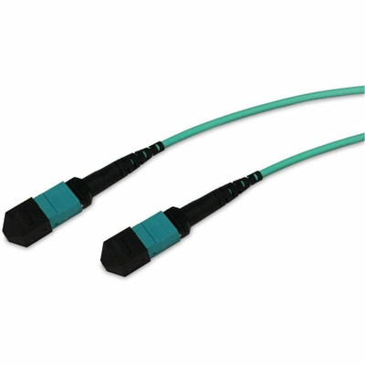 ENET MTPF2XO-OM4-100F-ENC Fiber Optic Network Cable