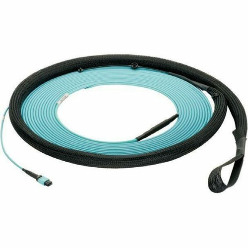 Panduit FY9WP77B005F066 Fiber Optic Trunk Network Cable