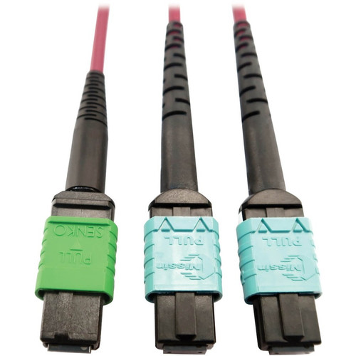 Tripp Lite N846D-05M-16DMG 400G Multimode 50/125 OM4 Plenum Fiber Optic Cable 16F MTP/MPO-APC to (x2) 12F MTP/MPO-UPC (F/F) Magenta 5 m
