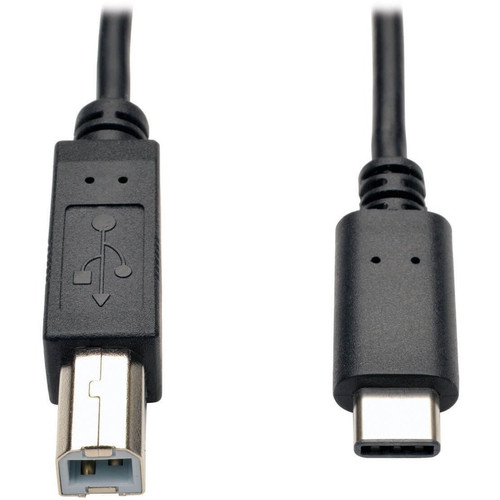 Tripp Lite U040-006 6ft USB 2.0 Hi-Speed Cable B Male to USB Type-C USB-C Male 6'