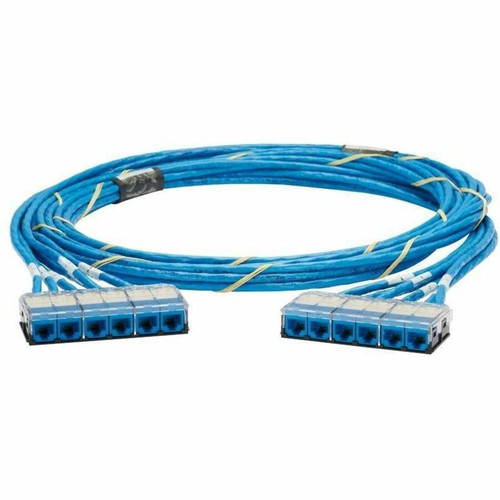 Panduit QZRBCCV0001F021 QuickNet Cat.6a Trunk Network Cable