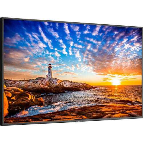 Sharp NEC Display P555 Wide Color Gamut Ultra High Definition Professional Display - 55"