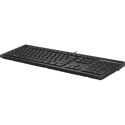 HP 266C9AA 125 Wired Keyboard