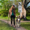 MUTT MITT® Mini Dog Waste Station