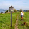 TRAIL PROVEN™ Mini Dog Waste Station - made from recycled plastics
