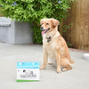 Doggie Walk Bags Tie Handle Dispensing Box