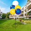 Daisy Flowers - Reusable Balloon Cluster and Yard Sign Marketing Bundle